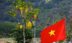 Tiền Phong Marathon 2022 tranh tài thời điểm Côn Đảo giao mùa, ngàn hoa khoe sắc