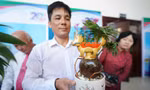 TPHCM: Độc đáo bonsai dừa ở Bình Chánh