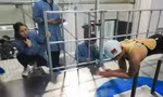 Một vận động viên bơi lội Trung Quốc đang được huẩn luyện