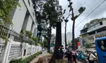 TPHCM khẩn trương ứng phó bão số 6 Trà Mi
