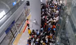Khách vô tư cởi đồ 'sống ảo', dắt thú cưng đi dạo metro TPHCM