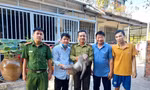Bắt con khỉ ‘đại náo’ khu dân cư, cắn chết chó ở TPHCM 