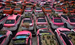 Ế khách mùa dịch, hãng taxi Thái Lan trồng rau trên ô tô