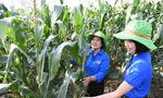 Làm nông nghiệp không nhất thiết phải cực nhọc, vẫn đạt lợi nhuận cao