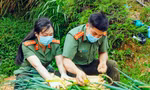 Thượng úy Công an chớp khoảnh khắc đẹp khi đồng đội hái nông sản gửi người dân vùng dịch