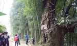 Sải bước ở Lai Châu: Lên bản 'suối có vàng'