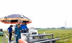 'Áo xanh' hỗ trợ thu hoạch rau màu, di dời tài sản để thi công đường dây 500kV mạch 3