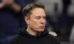 Tỷ phú Elon Musk khuyên Tổng thống Mỹ Trump nghĩ lại về thuế quan