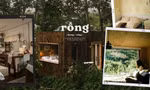 Đà Lạt vào mùa hồng chín đỏ, cùng ghé loạt homestay thơ mộng đậm chất vintage