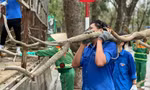 Tuổi trẻ Hải Phòng, Hải Dương khắc phục hậu quả cơn bão số 3 