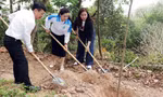 Hải Phòng phát động trồng hơn 5.000 cây xanh hưởng ứng Tết trồng cây