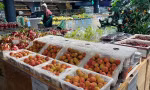 Vải thiều Thanh Hà bán gần 600.000 đồng/kg ở siêu thị Úc 