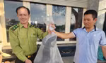 Người dân phát hiện kỳ đà hoa quý hiếm nặng 3,5kg ở bờ kênh Tham Lương 