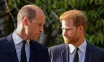 William gặp Harry