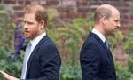 Tính toán của Hoàng tử William 