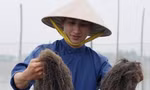 Đào Hữu Quý 