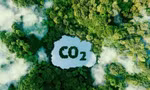 Đề xuất lập sàn giao dịch tín chỉ carbon quốc gia 