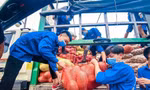 Thanh niên tình nguyện vận chuyển và tiếp nhận nông sản tuổi trẻ Lào Cai gửi tặng Hà Nội. Ảnh: Minh Đức