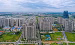 Cổ phiếu bất động sản 'đua' trần