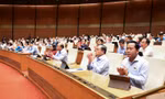 Chính phủ thống nhất chỉ đạo lực lượng Việt Nam tham gia gìn giữ hòa bình Liên Hợp Quốc