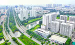 ‘Cổ đất’ đắt hàng