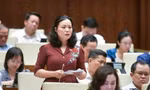 Đại biểu Quốc hội đề nghị 'dừng cho phép mua bán, sử dụng pháo hoa, pháo nổ dịp Tết Nguyên đán'