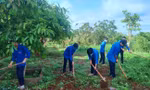 Nhiều thông điệp bảo vệ môi trường tại Ngày Chủ nhật xanh