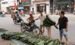 120.000 đồng một bó lá dong bán vỉa hè Sài Gòn