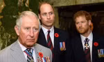 William lo lắng khi Vua Charles nhượng bộ Harry
