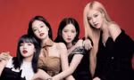 Mập mờ về BlackPink, cổ phiếu YG liên tục lao dốc