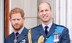 Chi tiết cho thấy sự quan tâm của William với Harry