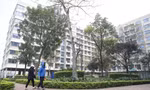 Lãi suất và thời gian vay gói tín dụng 120.000 tỷ đồng cho nhà ở xã hội chưa hấp dẫn 