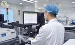 Xét nghiệm tìm nguyên nhân gây vô sinh ở nam giới 