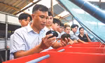 “Tiến sĩ cua” Nguyễn Việt Bắc đang đào tạo nhiều học viên, sinh viên về mô hình nuôi vỗ béo cua Cà Mau