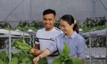 Chị Trang và chồng là anh Nguyễn Quốc Tuấn chăm sóc kỹ càng cho từng luống rau sạchảnh: Thu Loan 