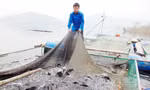 Anh Mão bên lồng cá giữa lòng hồ