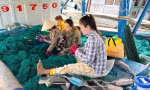 Chuyến ra khơi xuyên Tết, đón giao thừa trên biển