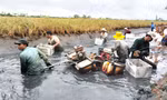 Cận cảnh nông dân Cà Mau quậy bùn bắt tôm càng xanh