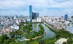 Ngắm những 'lá phổi xanh' từ trên cao: Khi công viên hóa thành mảng xanh diệu kỳ