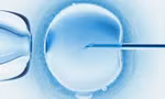 Em bé đầu tiên trên thế giới thụ thai bằng phương pháp 'IVF tự động' chào đời