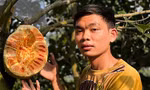 Chàng sinh viên trồng 2ha mít ruột đỏ, thu nhập nửa tỷ đồng/năm