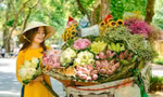 Bộ ảnh trong veo vương màu nắng Hà Nội của cô gái 9x làm dân mạng mê mẩn