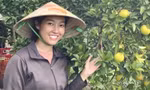 Cô gái Bình Dương rời trời Tây về quê làm nông dân, thành công thu tiền tỷ