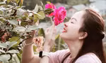 'Thủ phủ hoa hồng' ở Đà Lạt đắt hàng dịp Valentine dù giá tăng mạnh