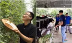 Bạn trẻ rời phố về quê, khởi nghiệp làm nông, khó hay dễ? 