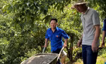 Bí thư Đoàn người Mông làm du lịch 