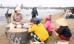 Trúng mùa ruốc biển, ngư dân Đà Nẵng kiếm tiền triệu mỗi ngày