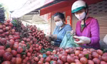 Vải thiều 'hút' người mua dịp Tết Đoan Ngọ