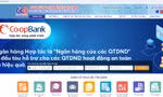 Cách tra cứu thông tin để biết mình có nợ xấu hay không 