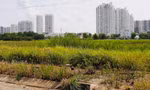 Đề xuất đánh thuế cao dự án ôm 'đất vàng' bỏ hoang triệt tiêu đầu cơ, găm đất